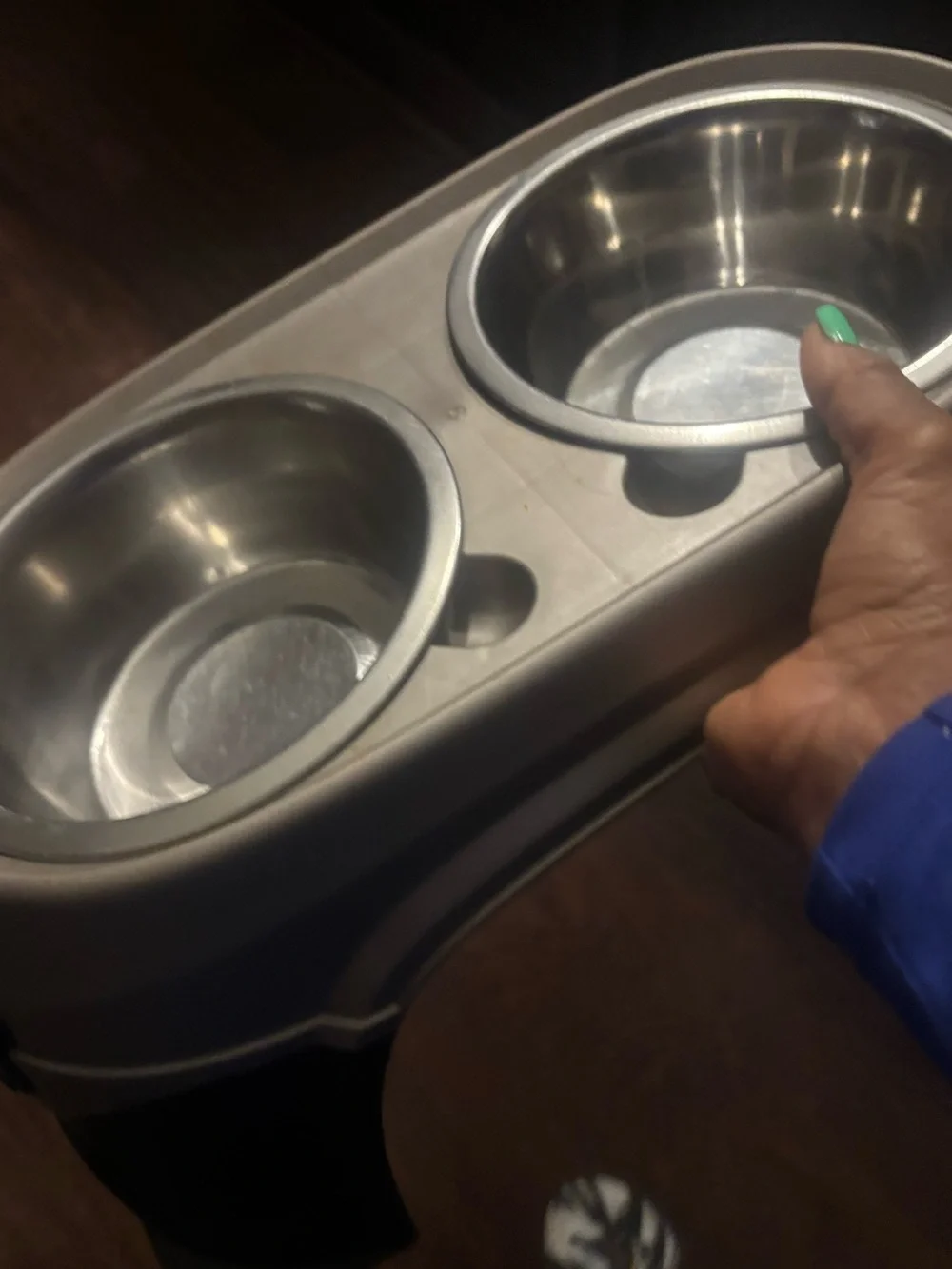 Source Unknown Two-Bowl Elevated Dog Feeder in Silver and Black